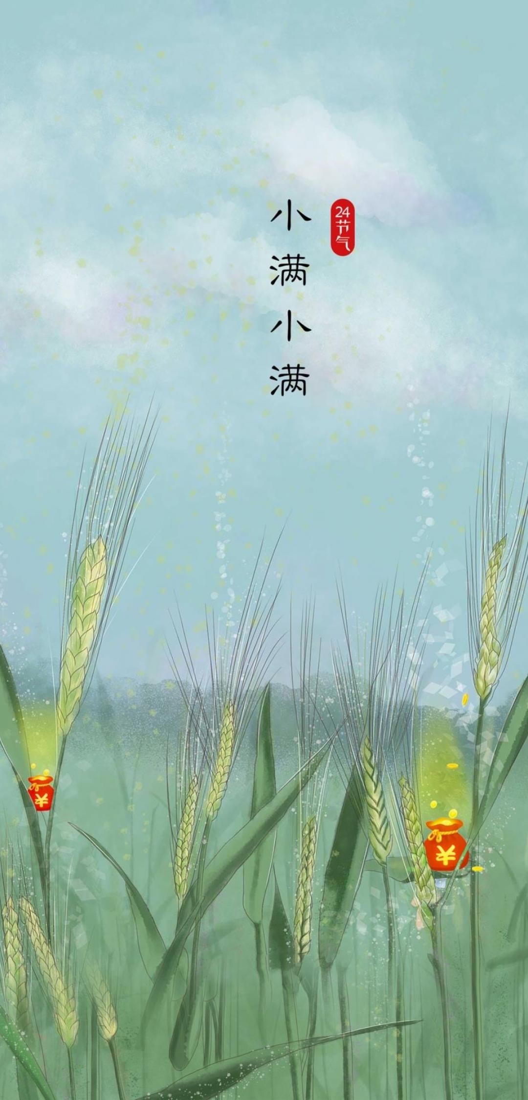 24节气小满手机壁纸