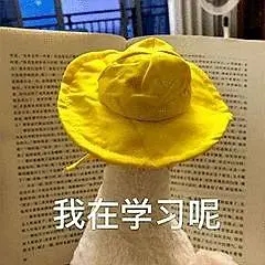 我要学习的表情包