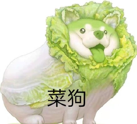 菜狗表情包汇总