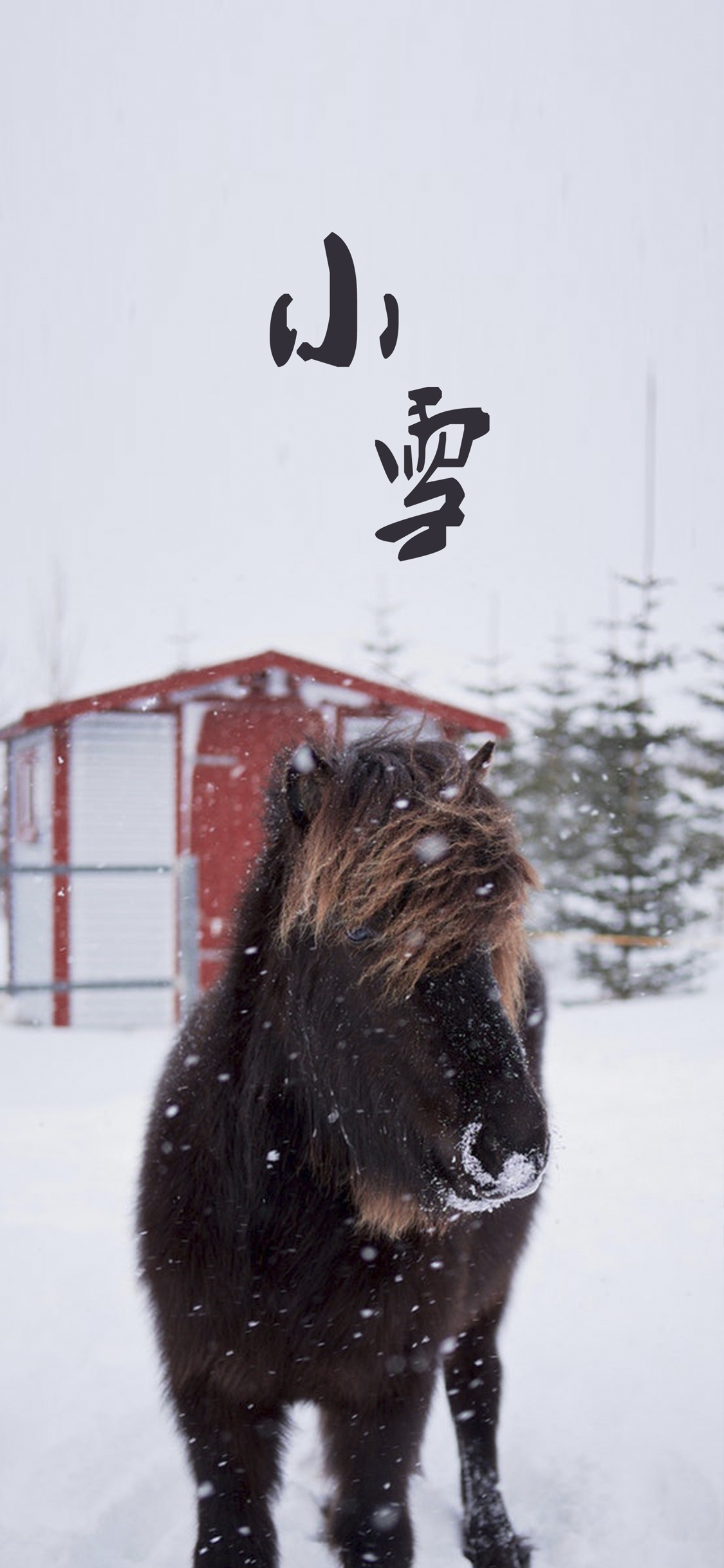 小雪节气手机壁纸