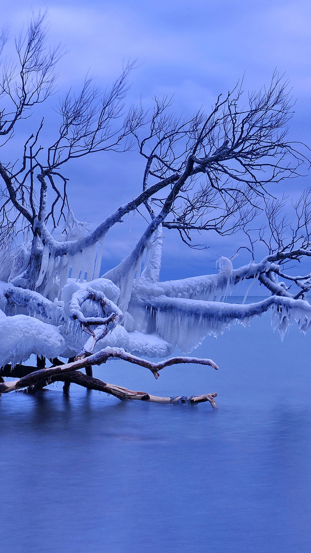 唯美雪景手机壁纸图片