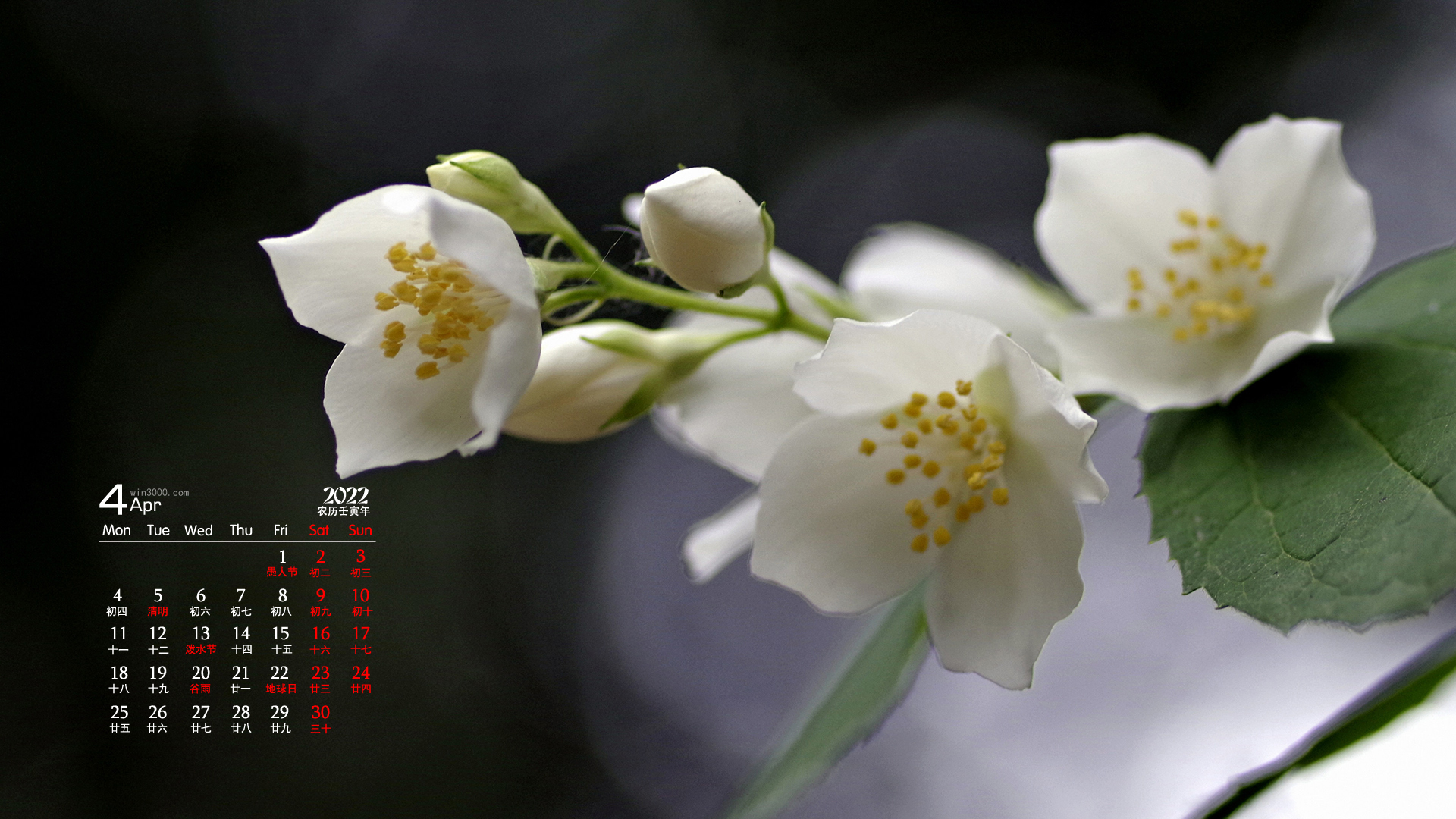 2022年4月茉莉花桌面日历壁纸