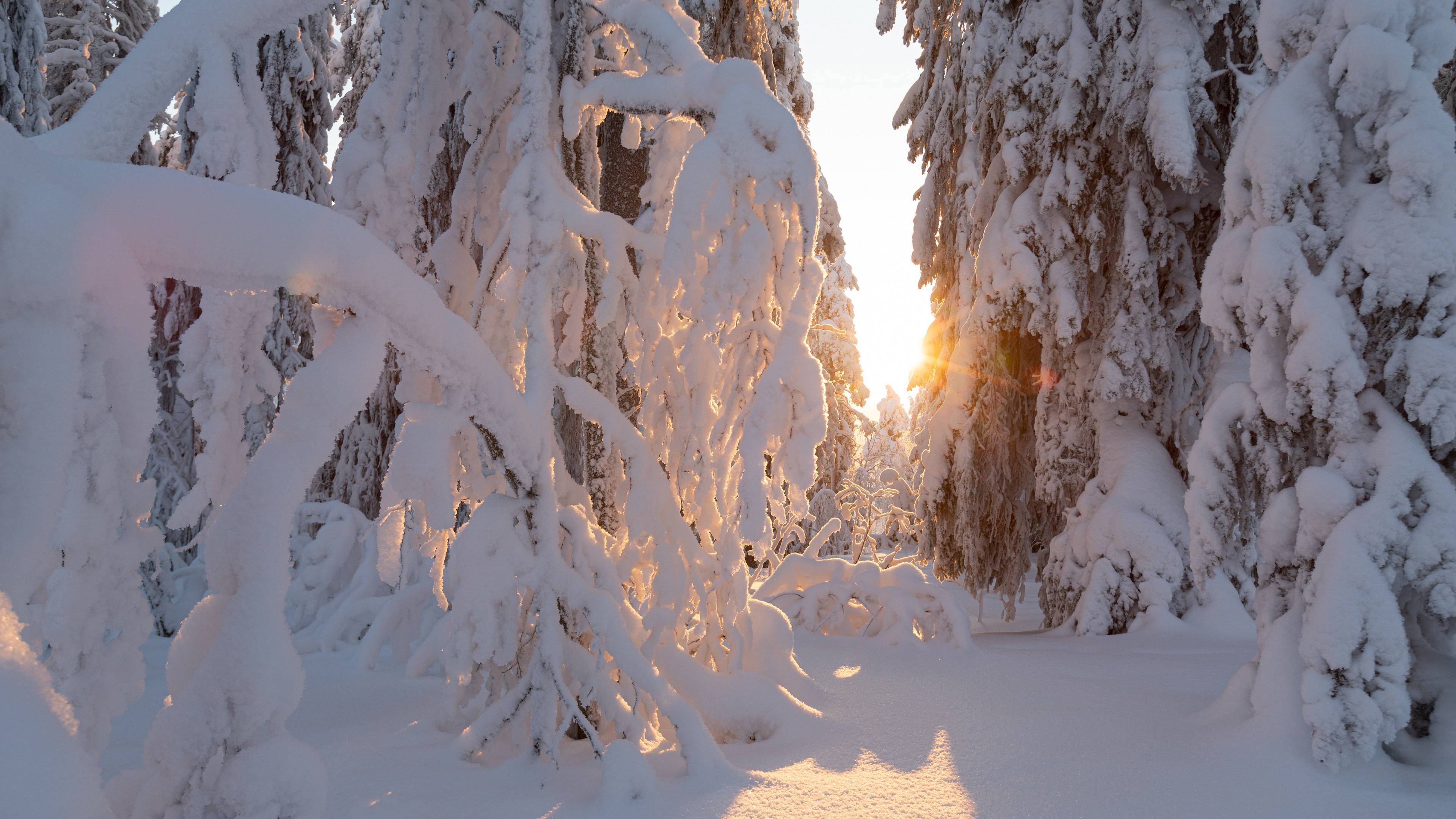 高清冬季雪景图片桌面壁纸