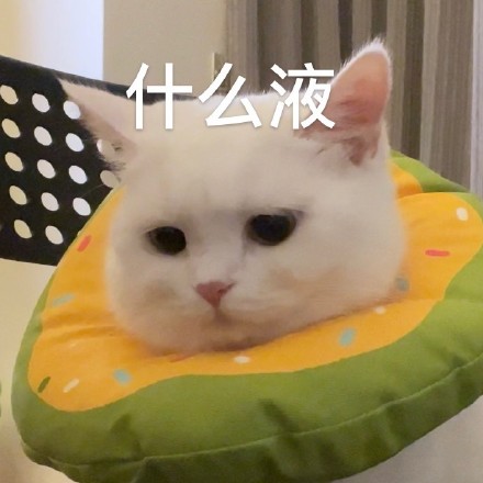 猫咪奶盖王思聪语录系列表情包