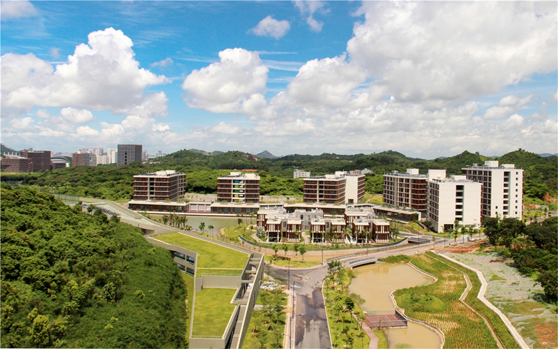 南方科技大学校园风景图片