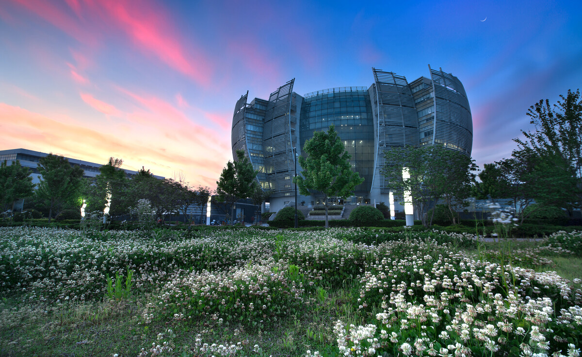 苏州大学校园风景图片