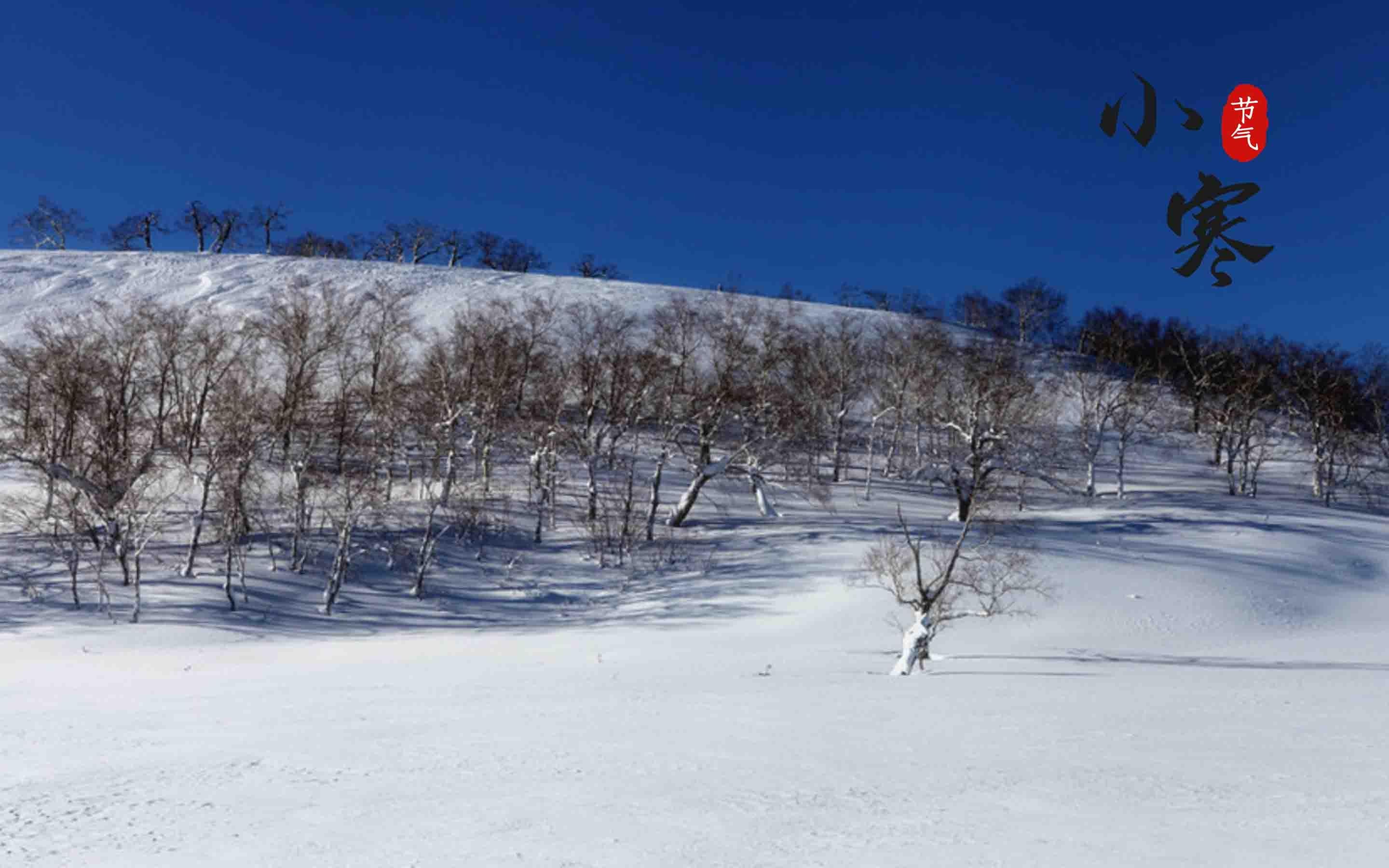 节气小寒之雪景图片桌面壁纸