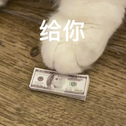 猫咪奶盖系列表情包