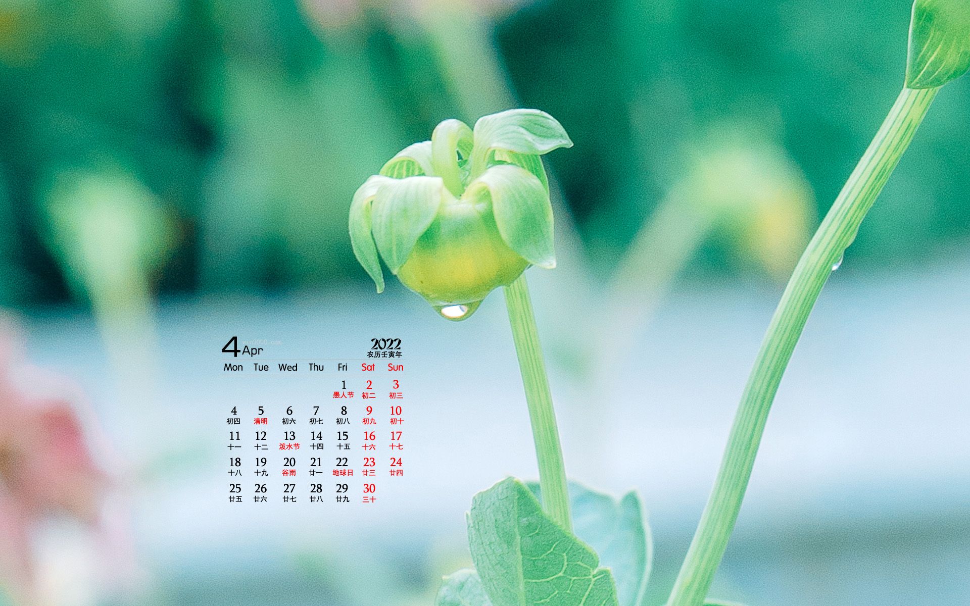 2022年4月护眼植物花卉桌面日历壁纸