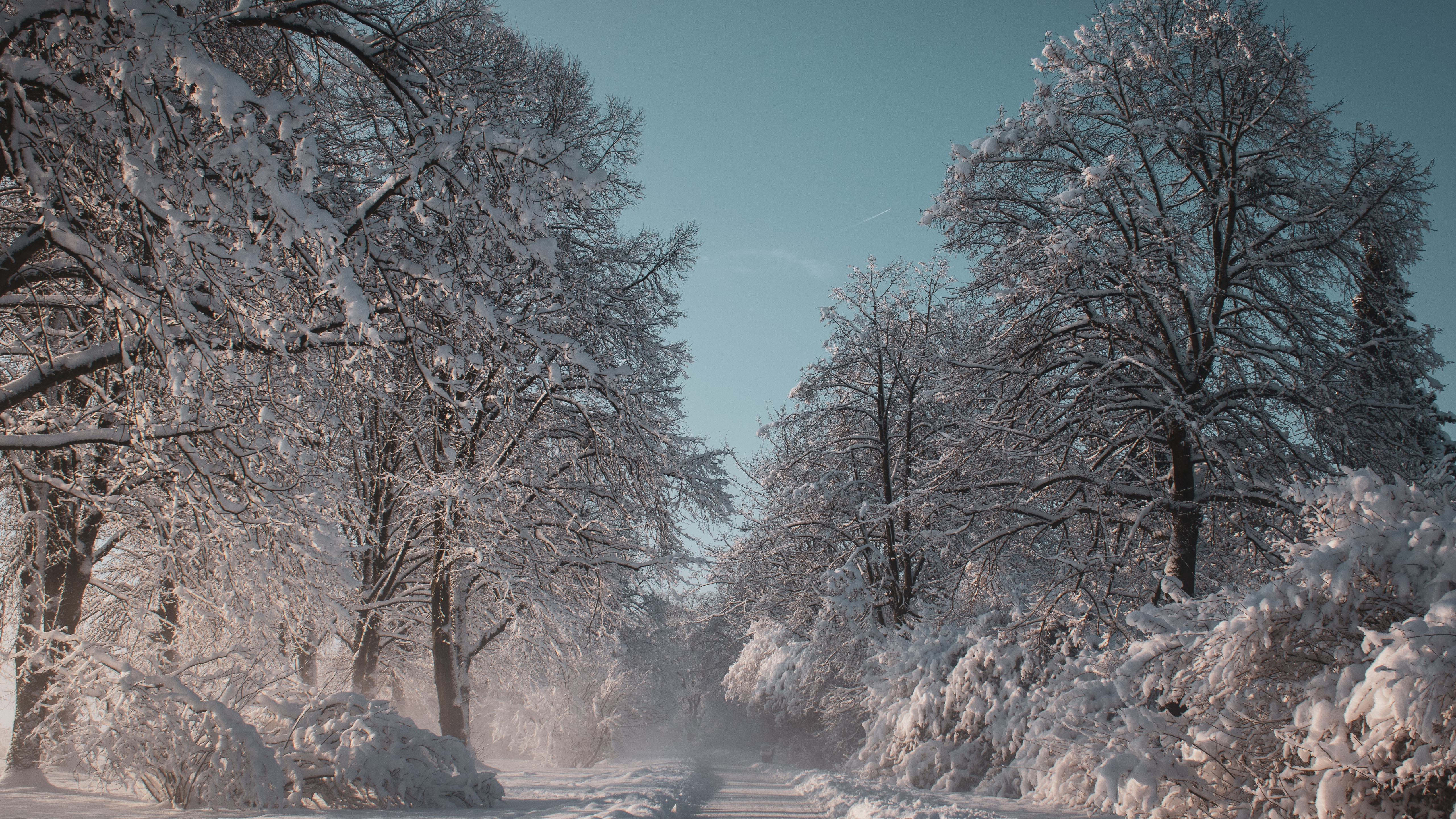 唯美好看的雪景图片桌面壁纸