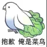 朋友圈爆火小鸟表情包