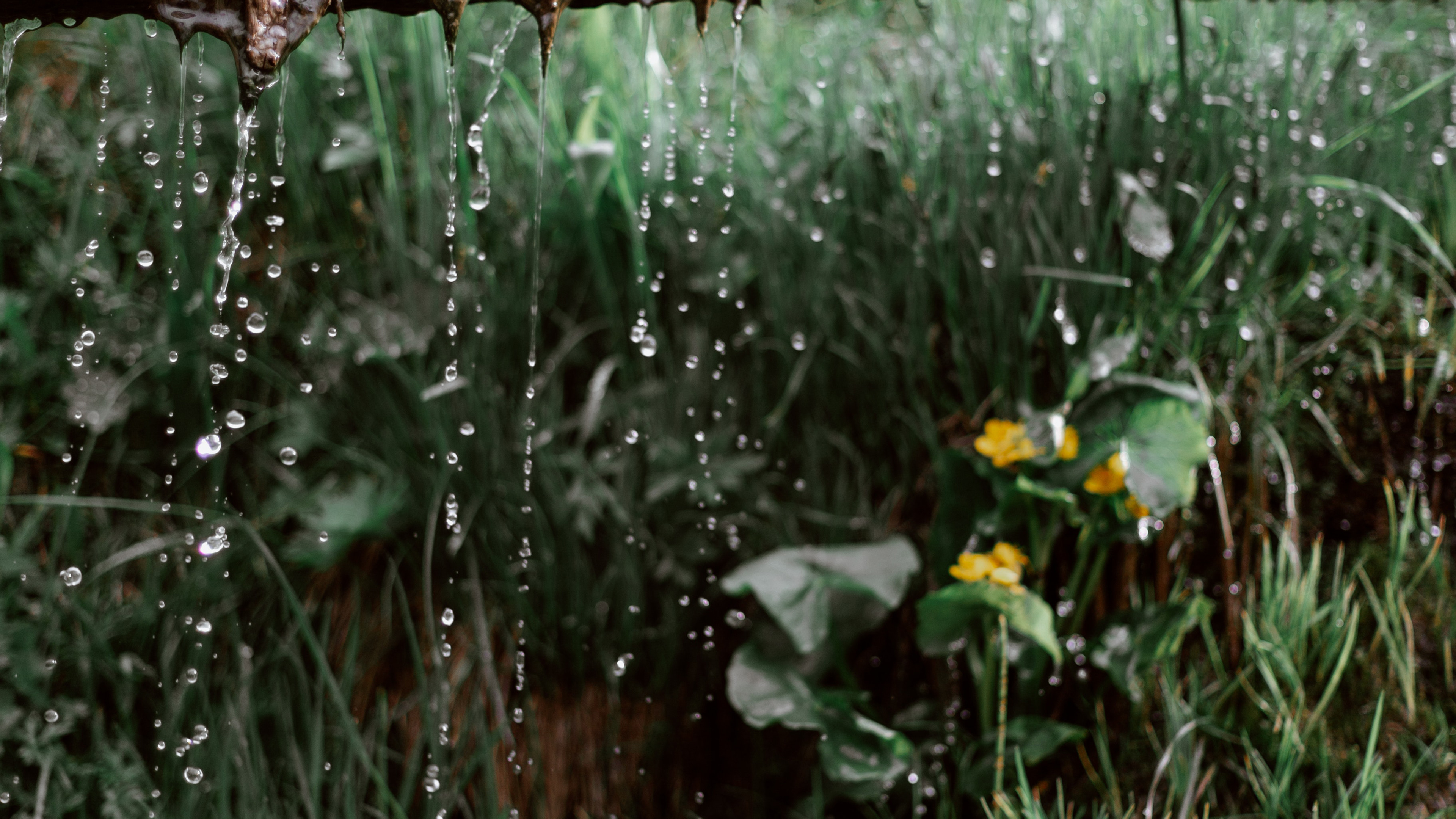 倾盆大雨唯美图片桌面壁纸