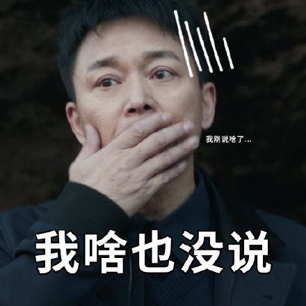 扫黑风暴表情包汇总