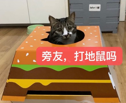 麦当劳猫窝实用表情包