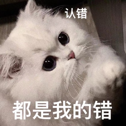 老婆奴猫咪表情包