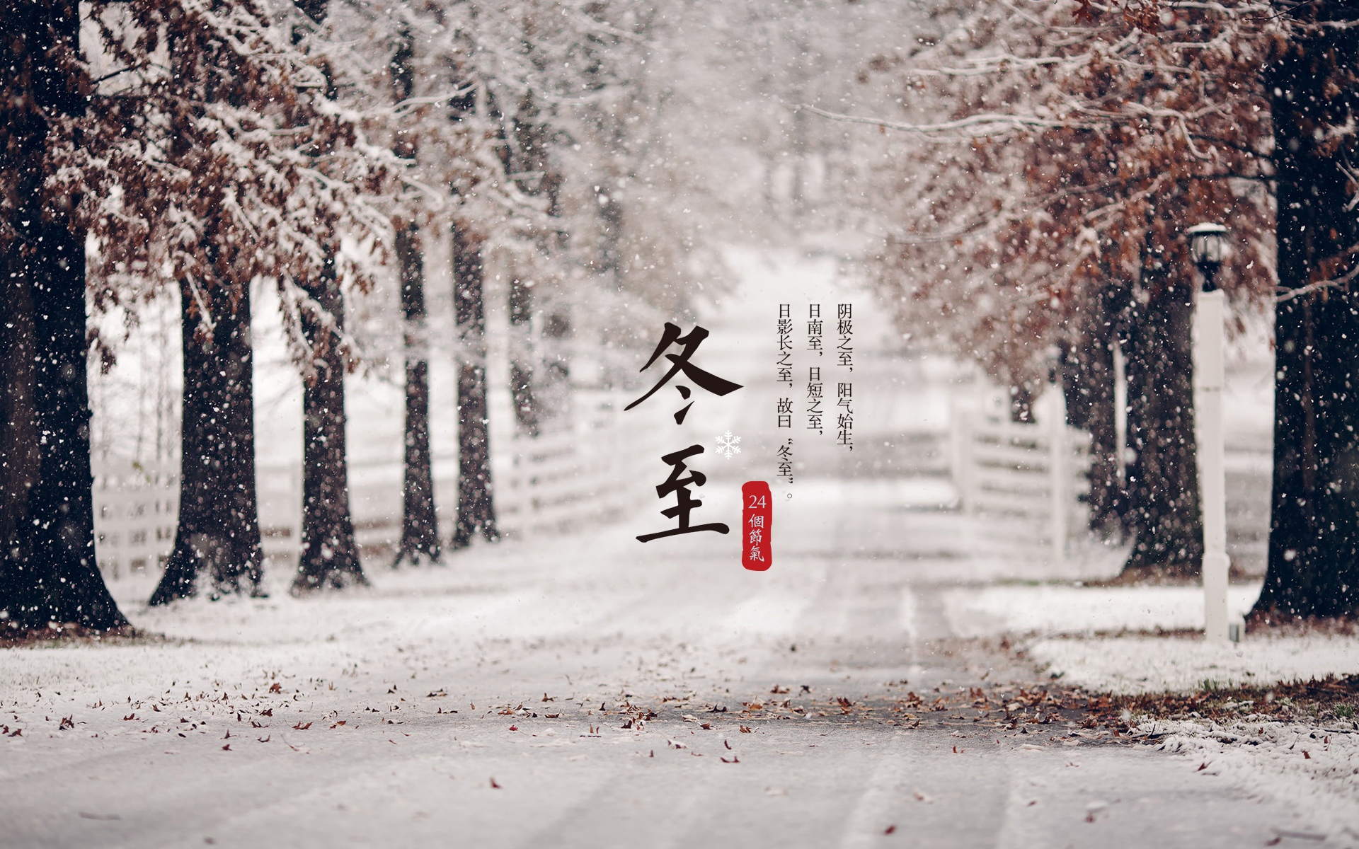 节气冬至唯美雪景高清电脑壁纸