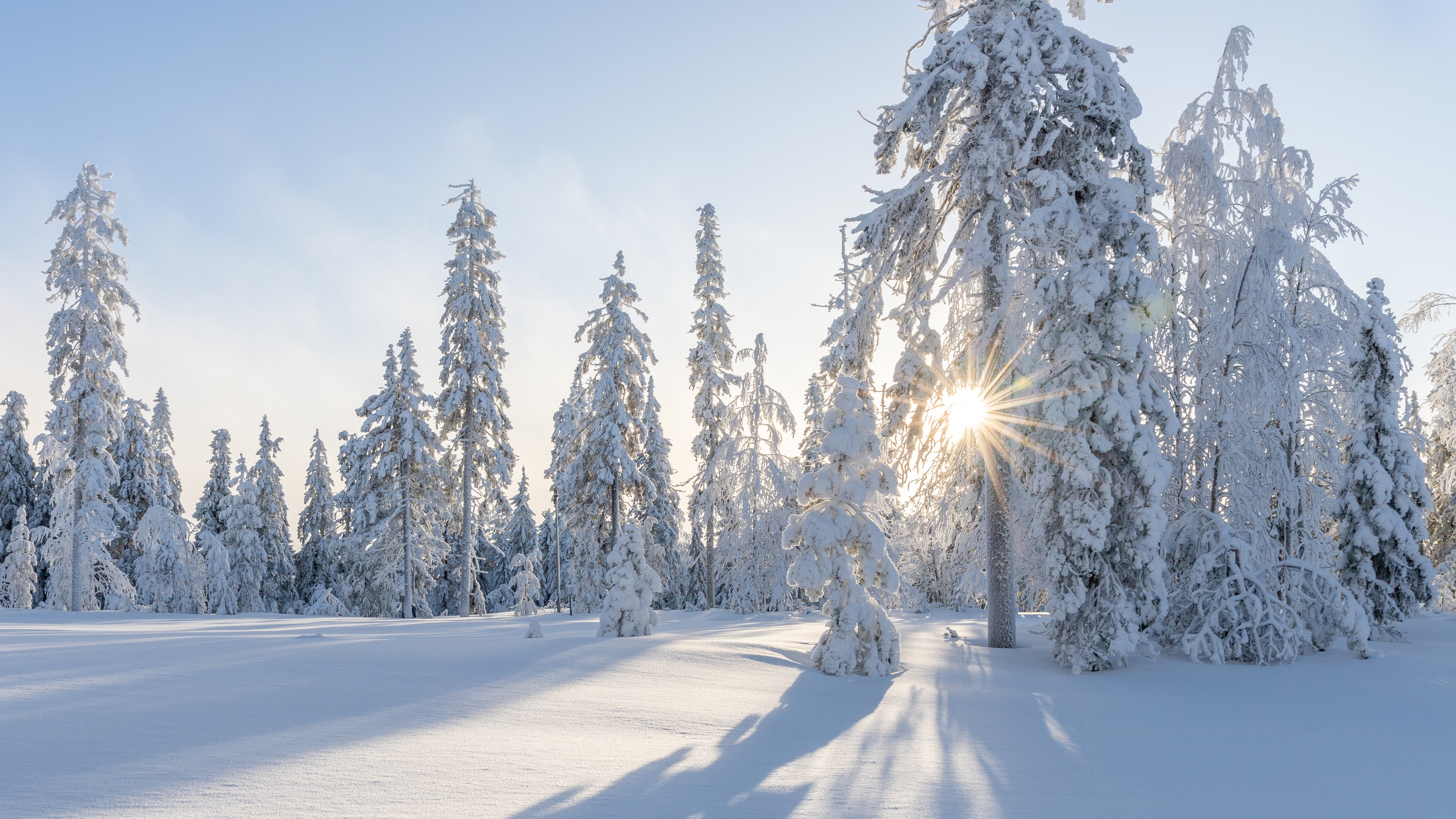 高清冬季雪景图片桌面壁纸