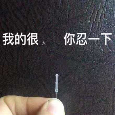 搞笑吃瓜聊天表情包图片