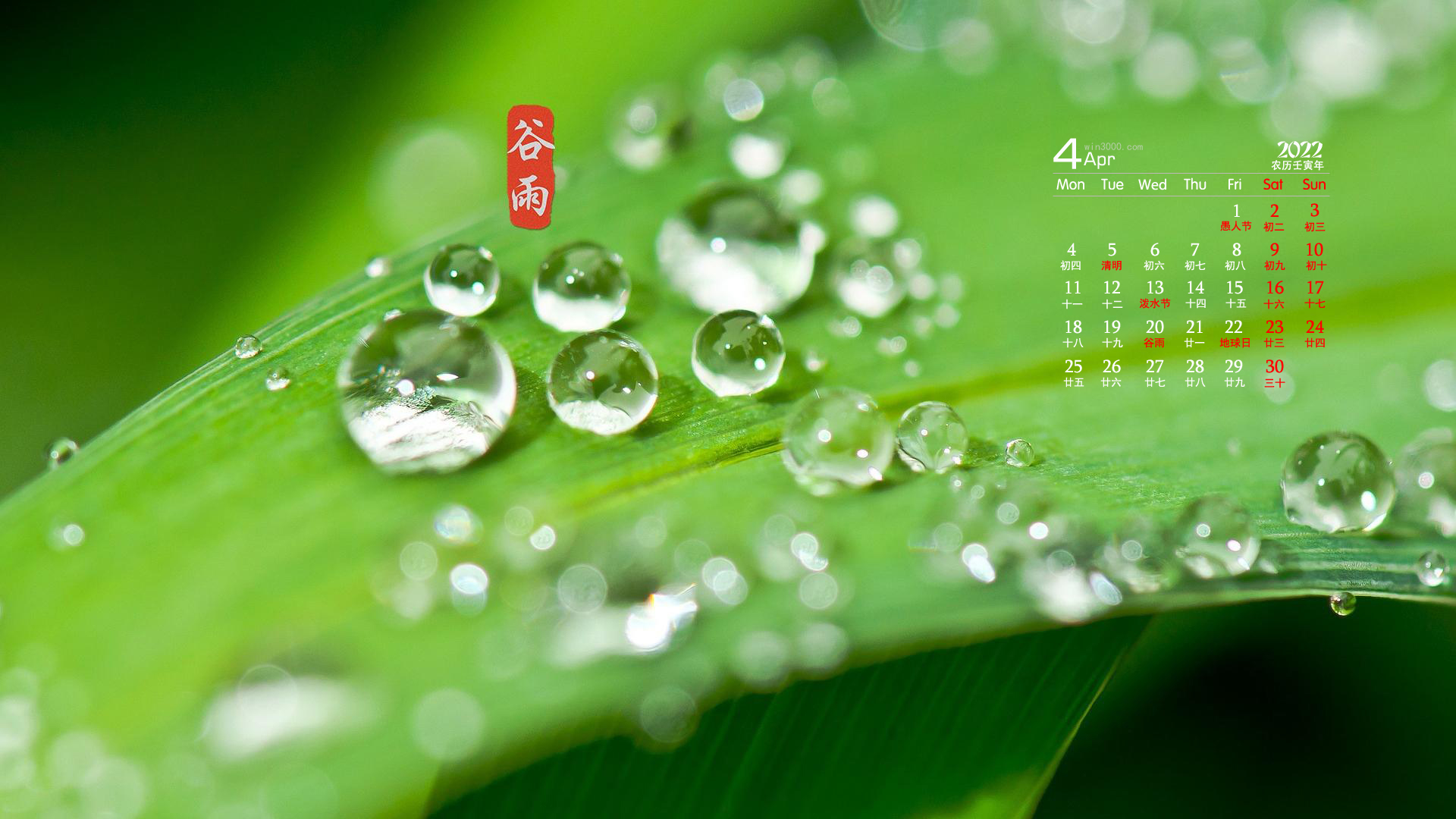 2022年4月节气谷雨日历壁纸