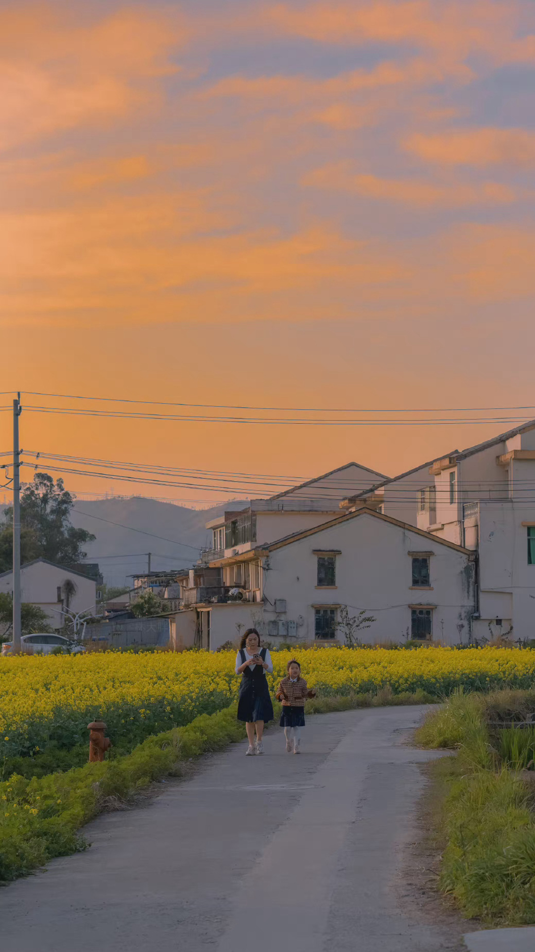 乡间风景自然手机壁纸