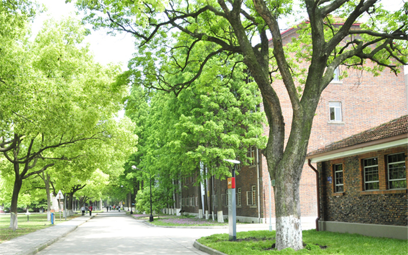 苏州大学校园风景图片