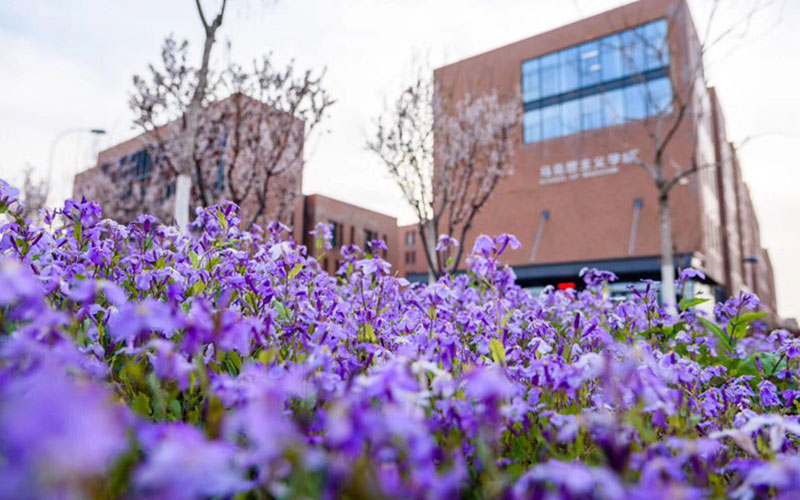 南开大学校园风景图片