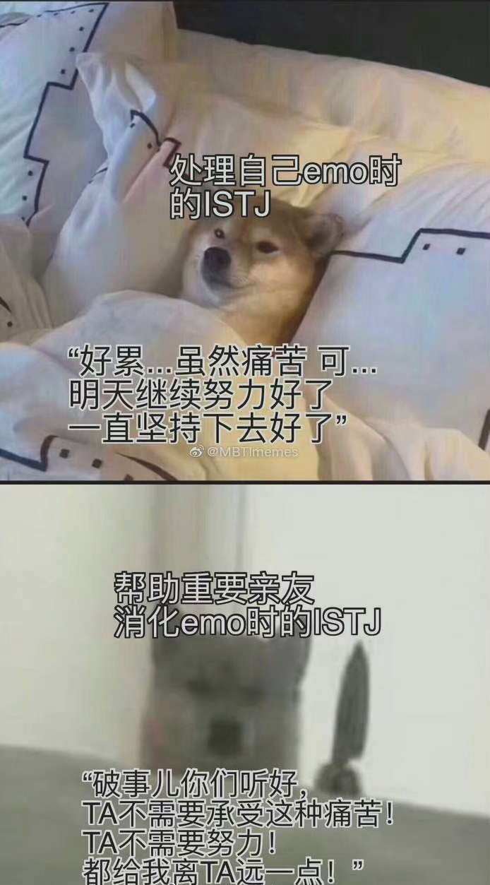 istj表情包集锦