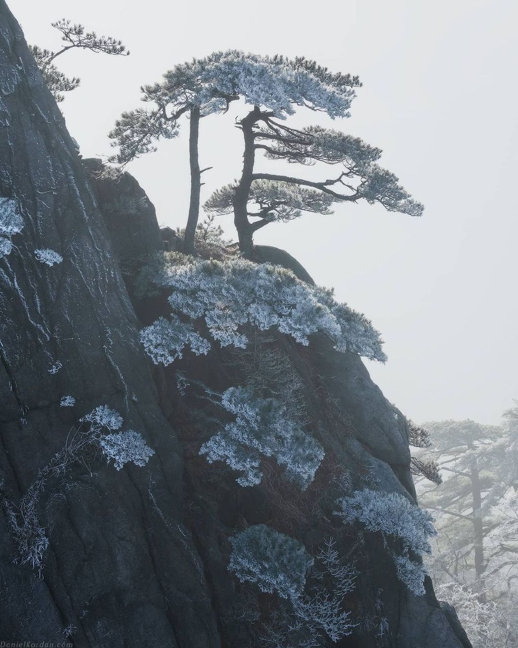 黄山雪景图片摄影