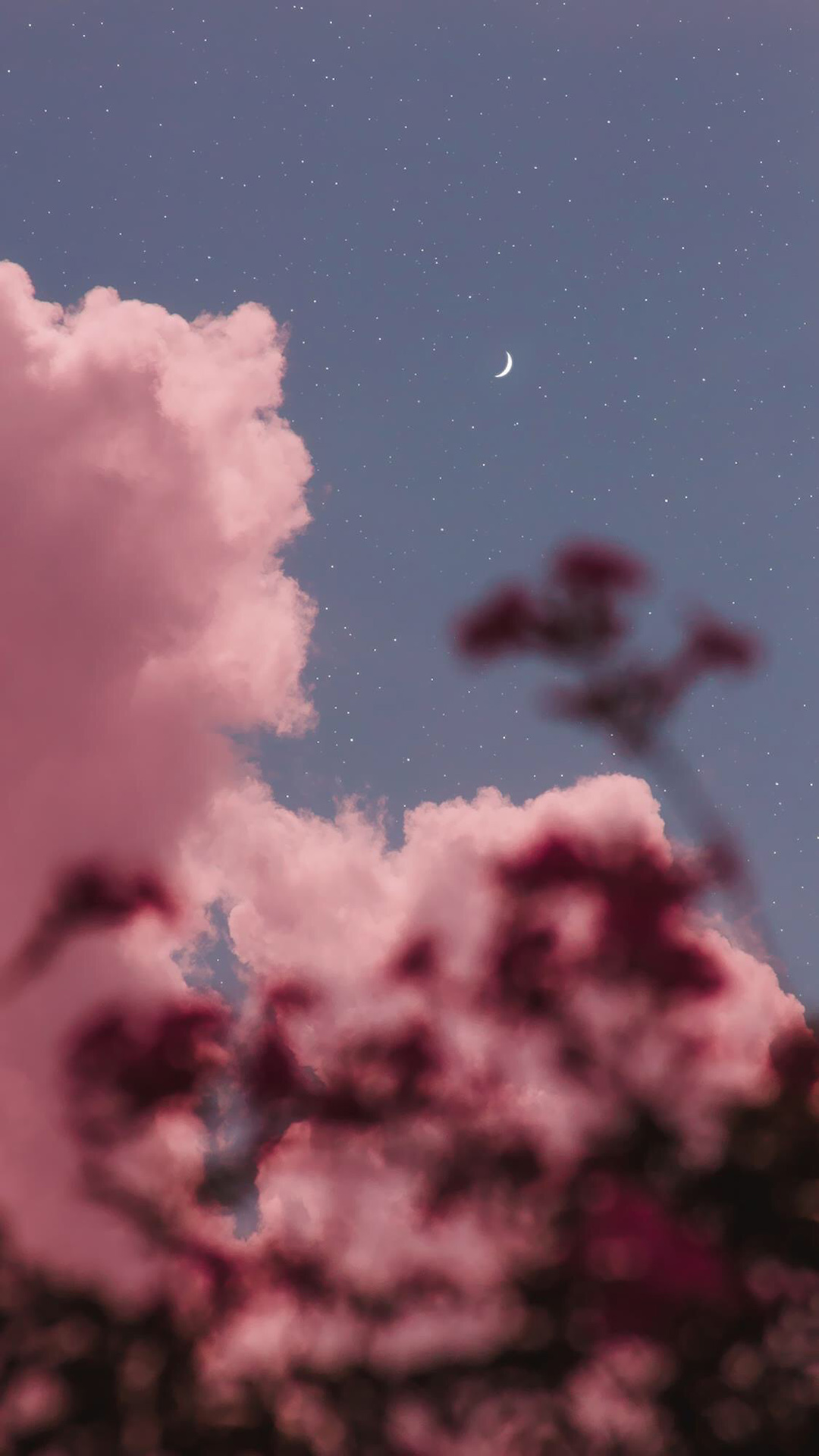 浪漫夜空下的星月云霞风景手机壁纸