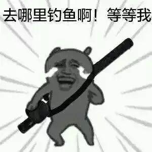 钓鱼表情包汇总