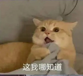 猫咪出轨表情包