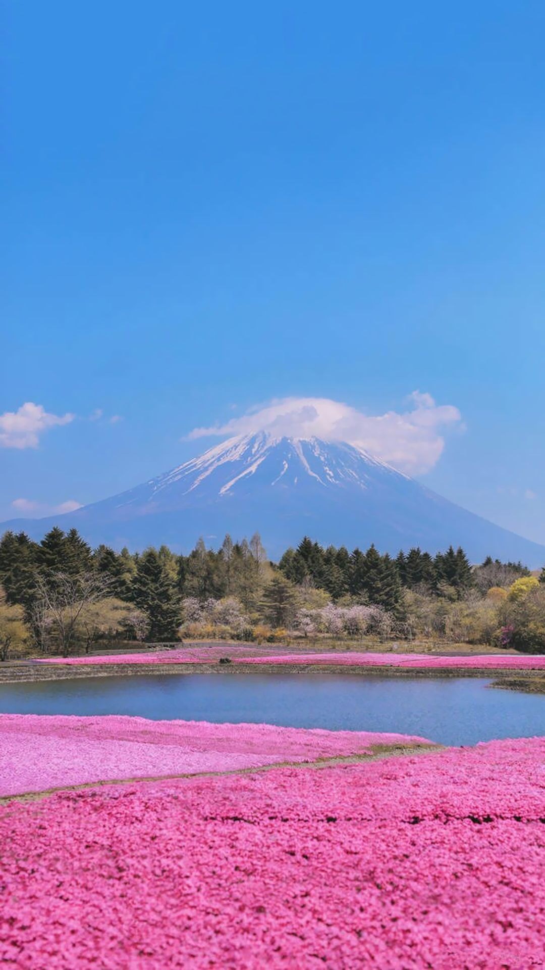 富士山湖光山色高清手机壁纸