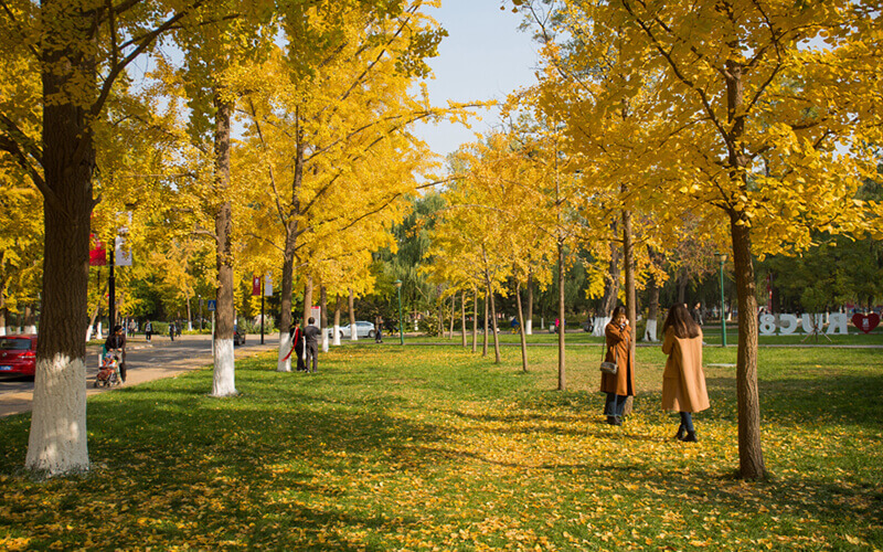 中国人民大学校园风景图片