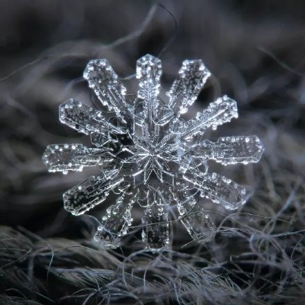 雪花放大100倍会是什么样子