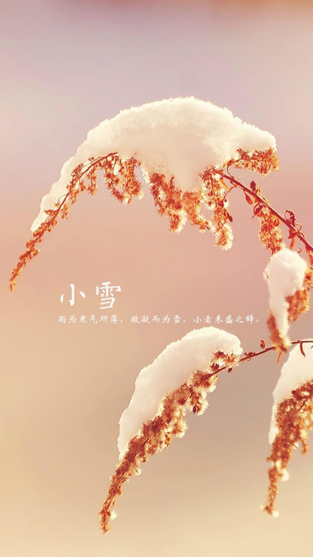 传统节气小雪唯美手机壁纸