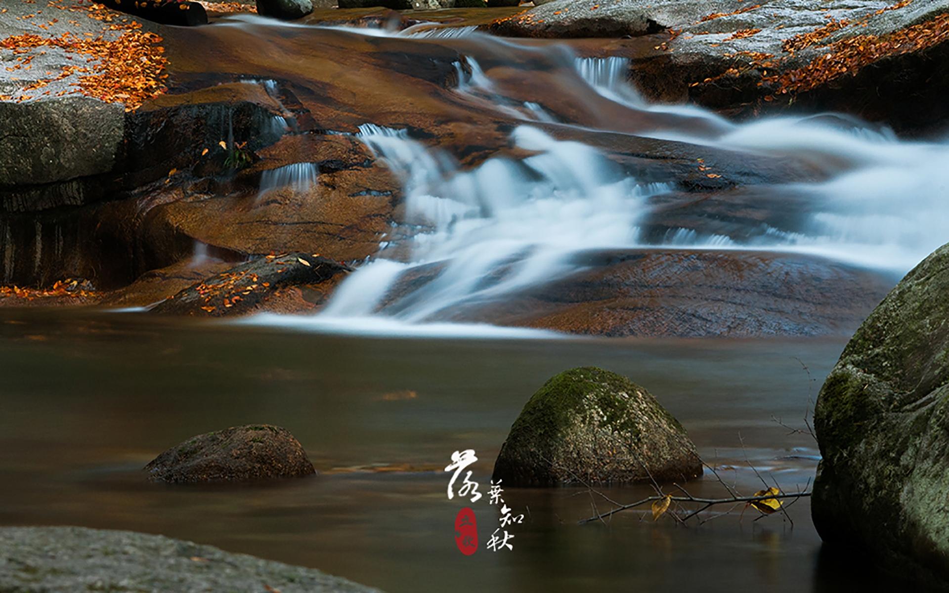 立秋落叶唯美风景图片桌面壁纸