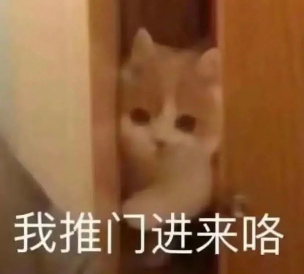 猫咪出轨表情包