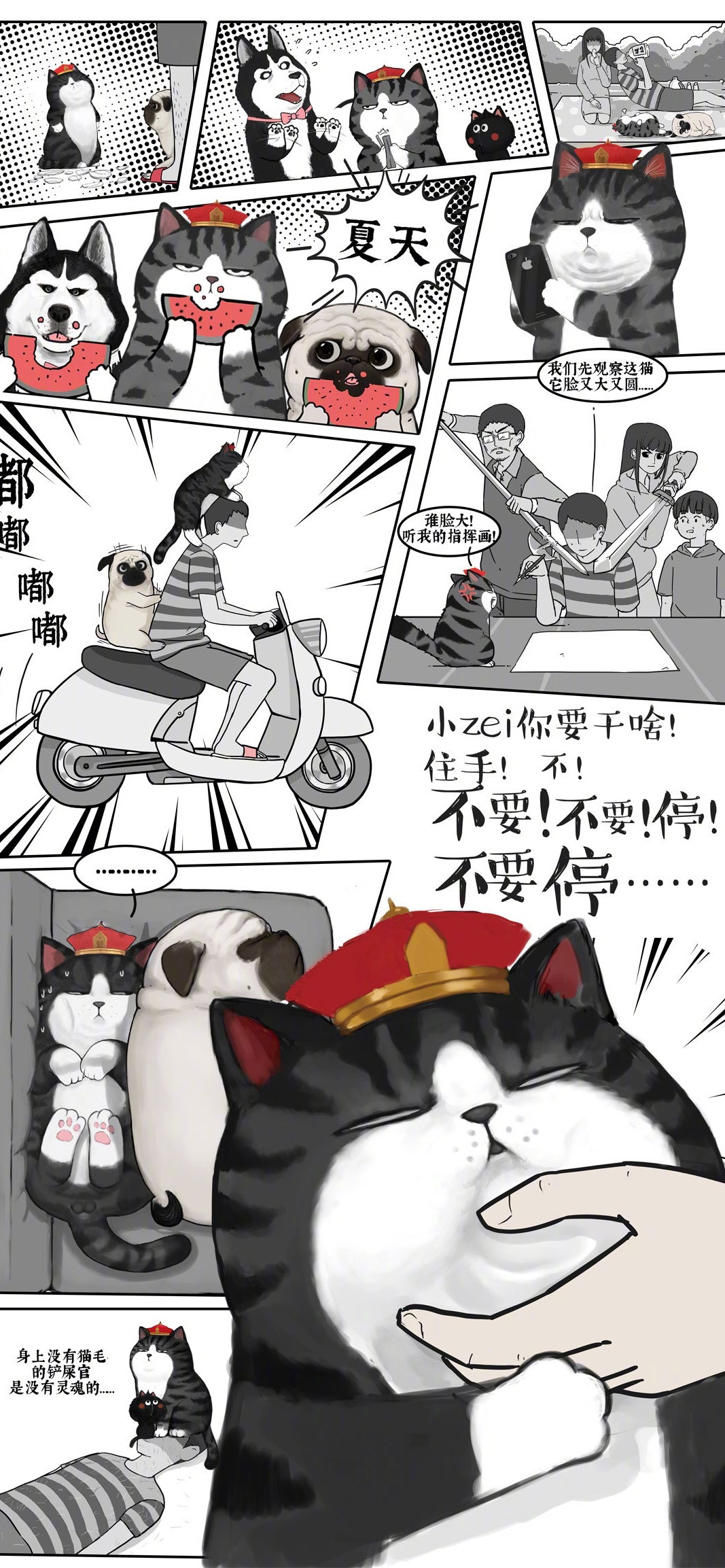 猫咪吾皇主题手机壁纸