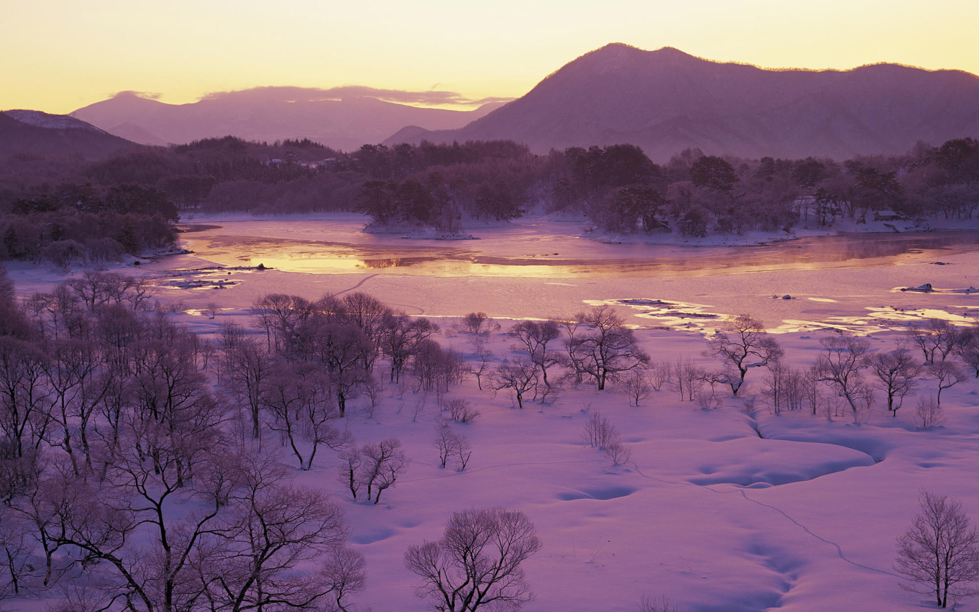 冬季唯美雪景图片电脑壁纸 第一辑