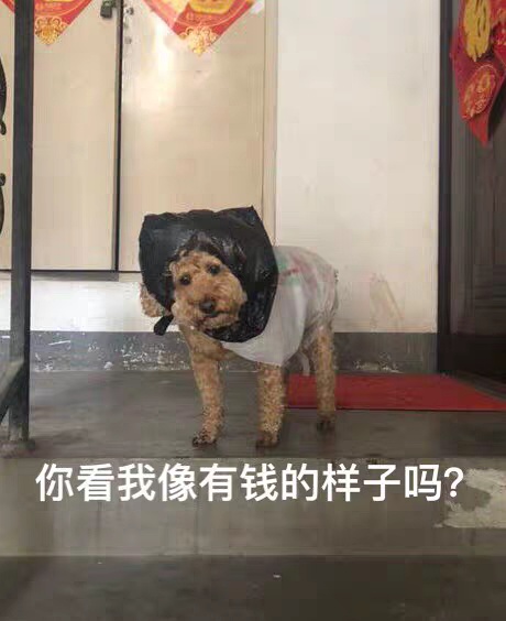 没钱表情包