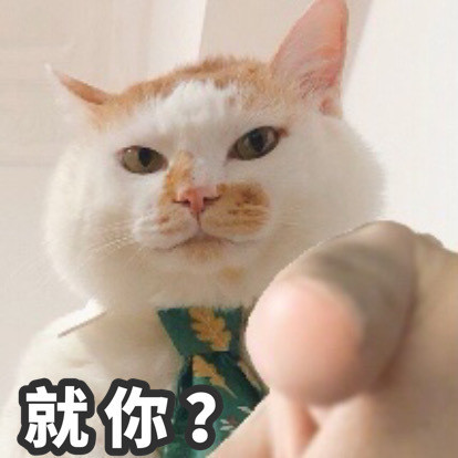 猫猫指人表情包