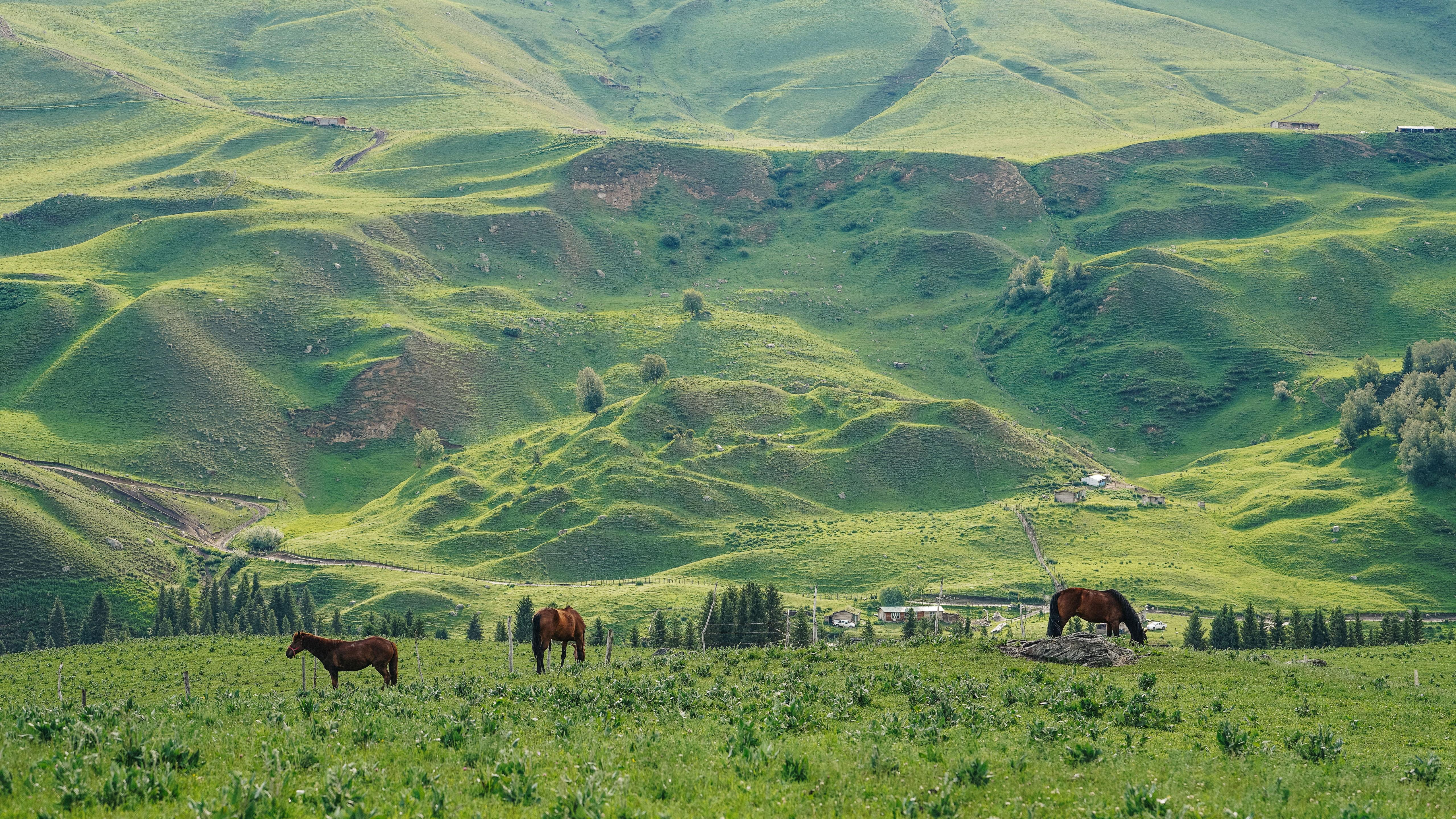 新疆琼库什台草原风景图片桌面壁纸