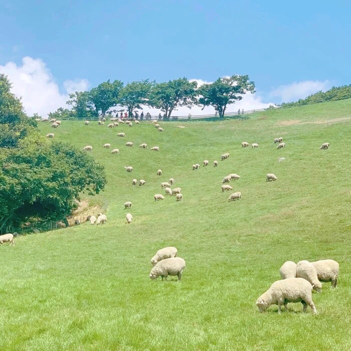 微信农场实用风景图