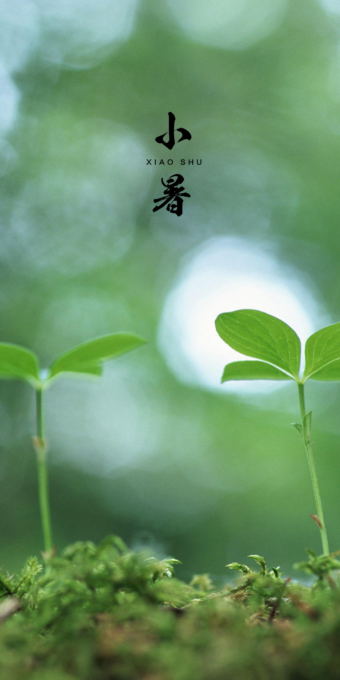 传统节气小暑手机壁纸图片