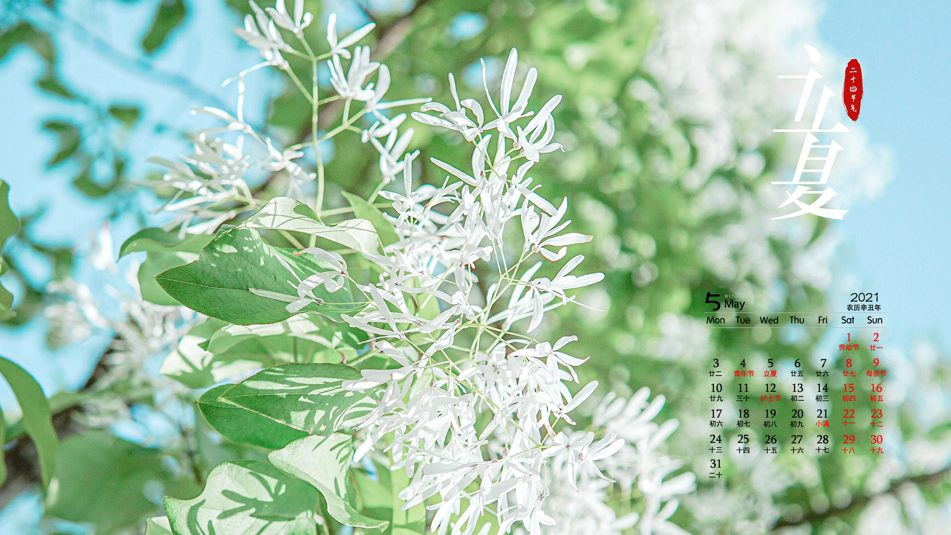 2021年5月立夏节气电脑日历壁纸