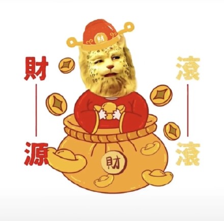 金钱豹虎年暴富表情包