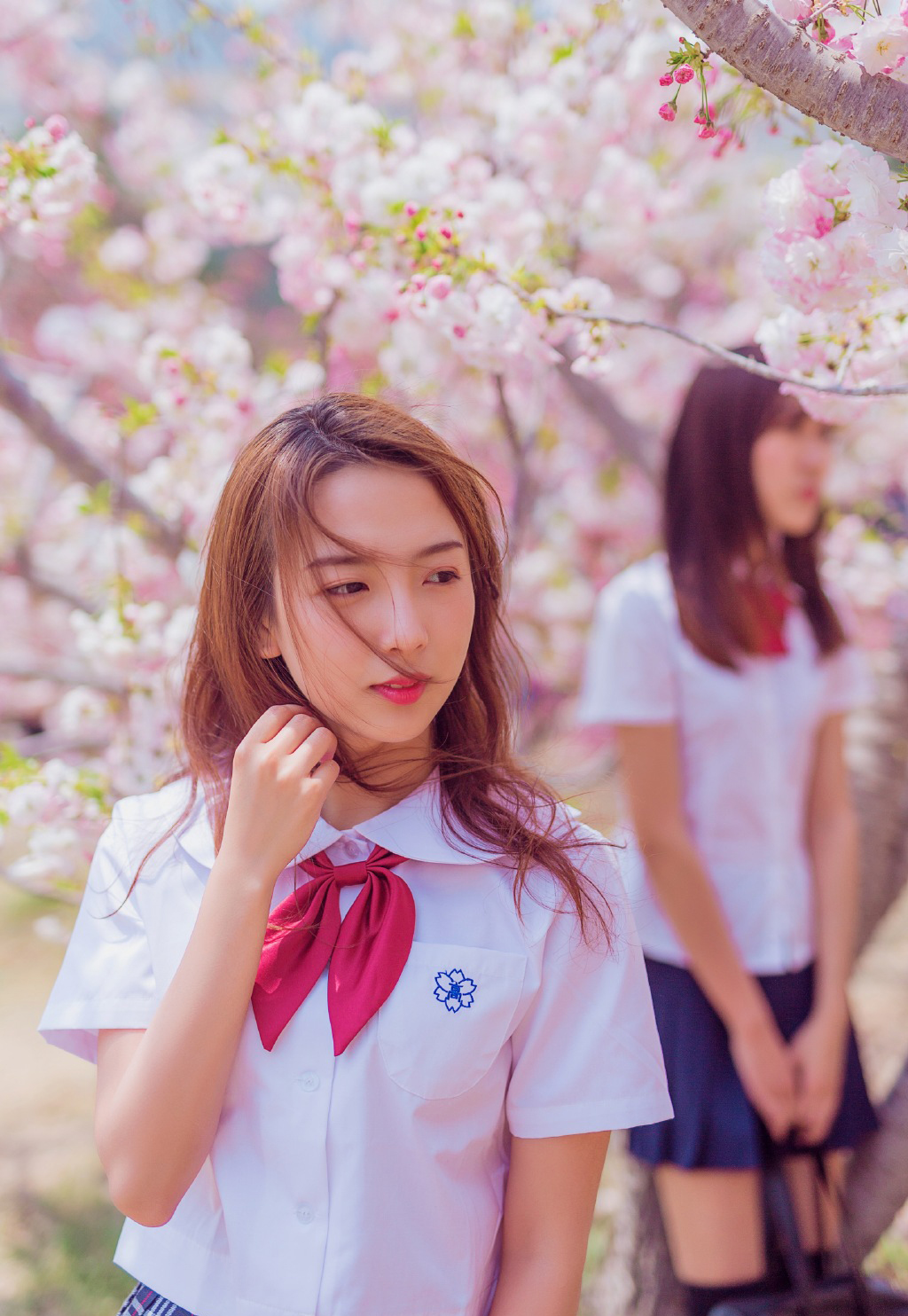 樱花树下的制服美女写真照图片