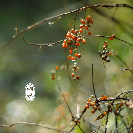 雨水节气唯美图片高清