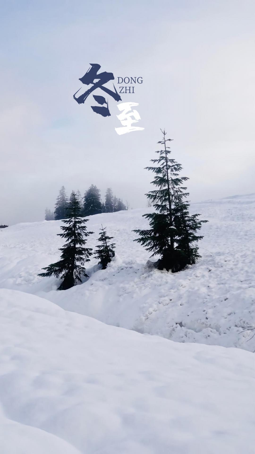 节气冬至之雪景风光手机壁纸