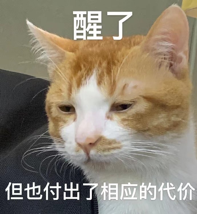 阴阳怪气猫咪表情包